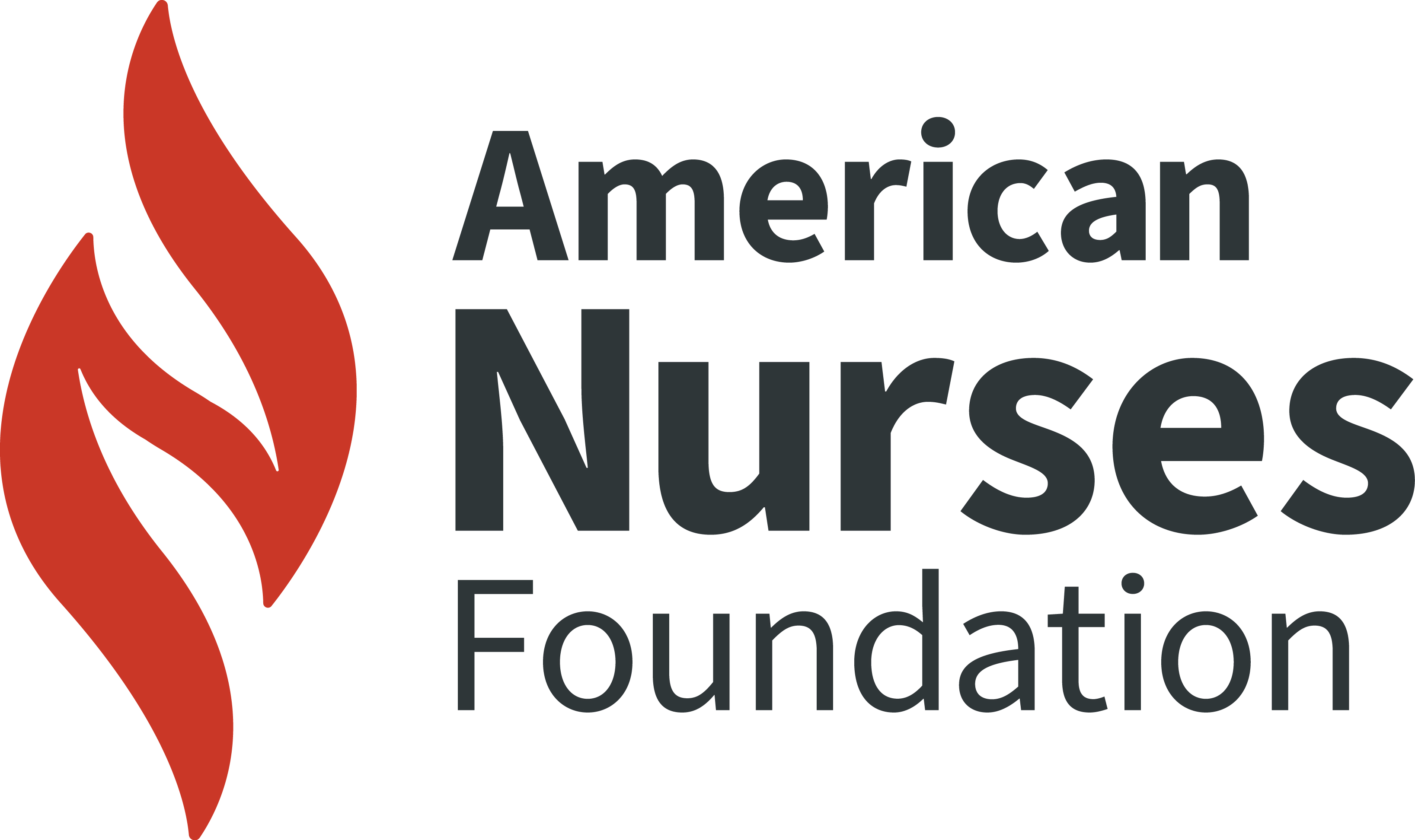 American Nurses Foundation Reimagining Nursing Initiative